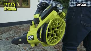 Discover Your Perfect Leaf Blower 30