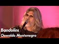 Bandolins, de Oswaldo Montenegro | Agenda de shows na descrição.
