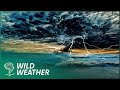 How Does Weather Actually Work Richard Hammond S Wild Weather Compilation Earth Stories 