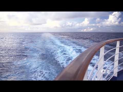 Sights and Sounds