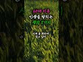60대이후 인생을 망치는 생각 5가지