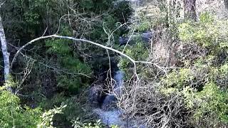 Nubbin Creek Falls