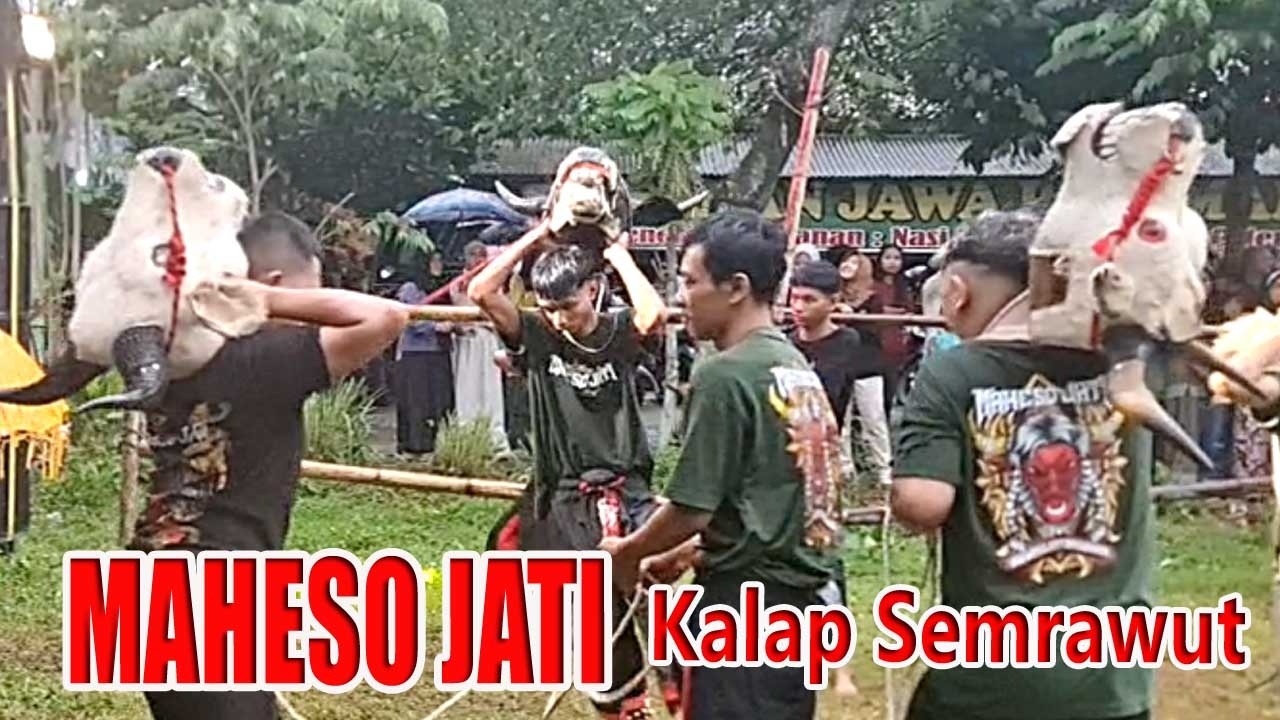 AKSI BANTENGAN MAHESO JATI SAAT HUJAN LEBAT – LANGSUNG KESURUPAN KERASUKAN DEMIT LERENG ARJUNO