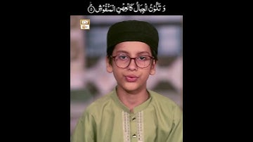 Surah Al-Qari'ah | سورة القارعة #surahalqariah