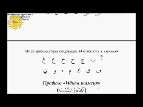 Видео: Суралцах явцад суралцагчдаас хичээлд өвдөлттэй цочрол өгөхийг шаарддаг туршилт хийж, аль хүн нийгмийн дуулгавартай байдлыг шалгасан бэ?