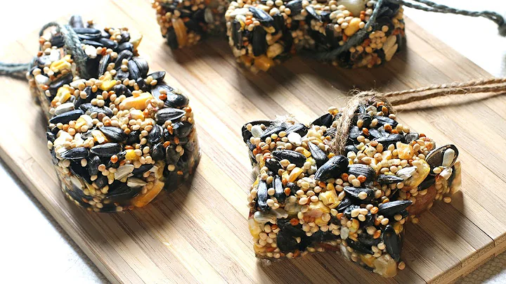 DIY Birdseed Ornaments with Shari Carroll