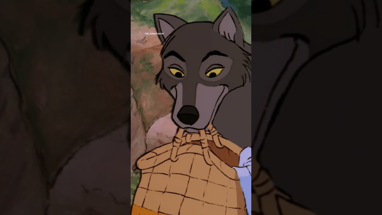 Heartwarming moments give us all the positive energy we need. 💖