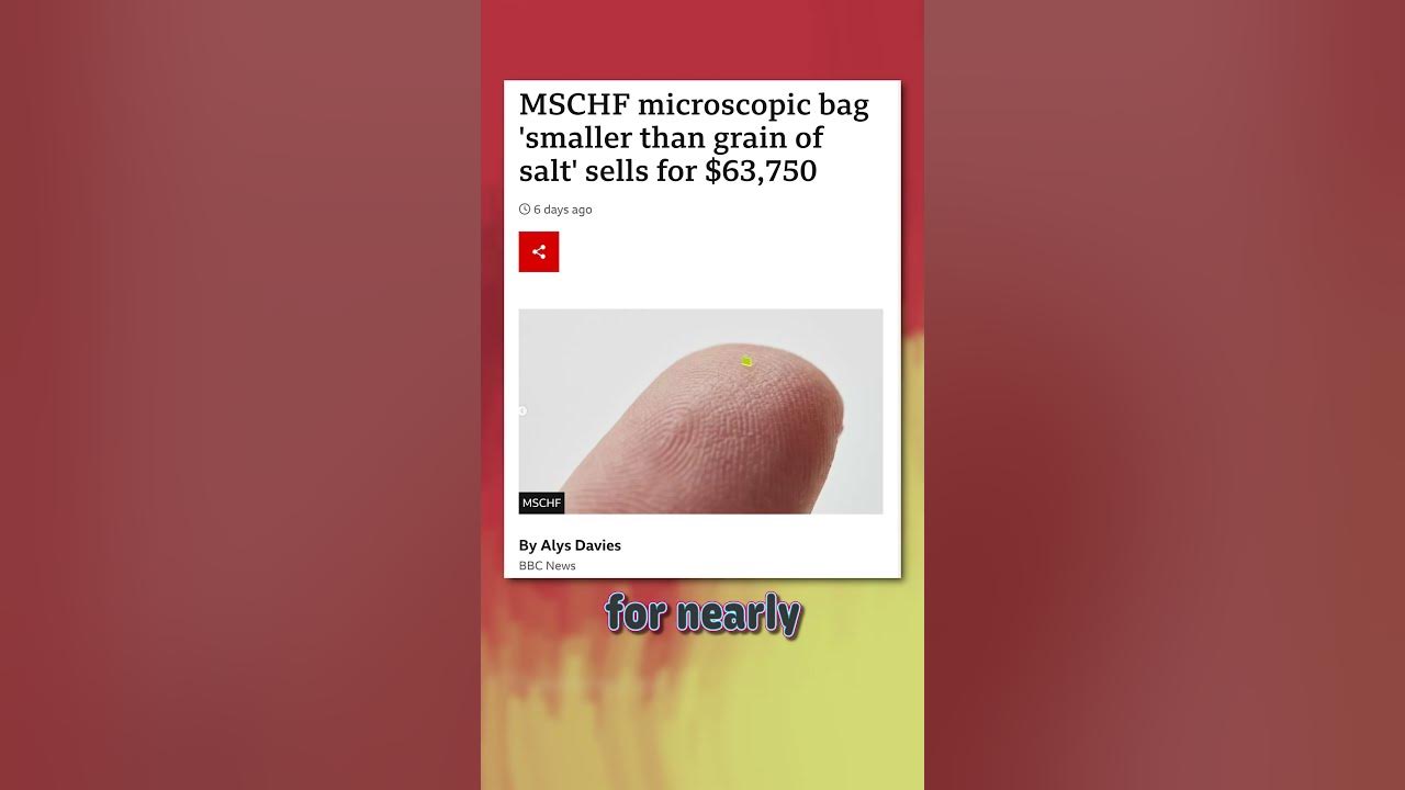 MSCHF microscopic bag 'smaller than grain of salt' sells for