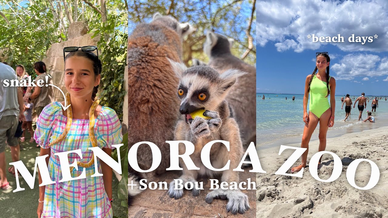 A trip to SON BOU BEACH and MENORCA ZOO! 🏝️| *snakes, lemurs + beach days* | vlog #5 