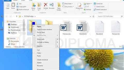 Copy the files fileold.txt and fileold.doc from the TEST4UFolder folder on your desktop, to the...
