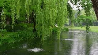 The beautiful little river is raining(201) , sleep, relax, meditate, study, work, ASMR