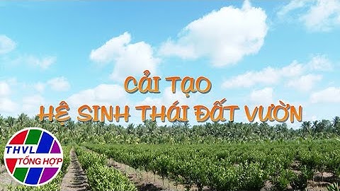 Nông nghiệp bền vững: Cải tạo hệ sinh thái đất vườn