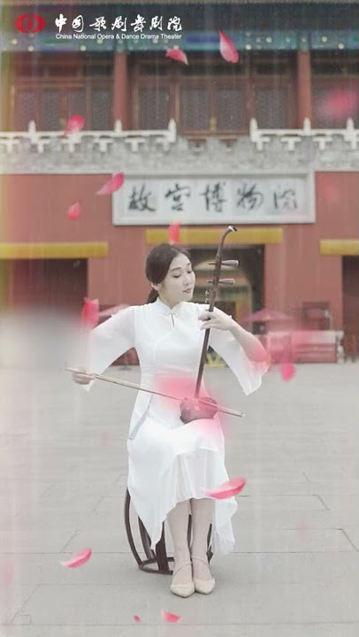 'Spring in South of the Yangtze River' on 'erhu' | 二胡演奏《江南春色》| CNODDT