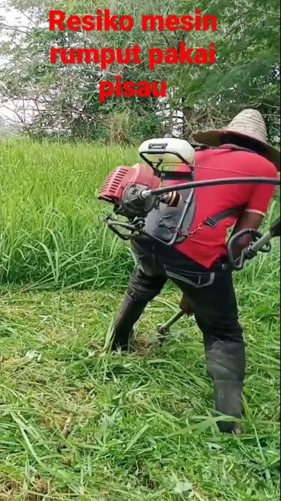 Ini Lah Resiko Mesin Rumput Pakai Pisau