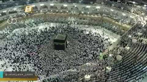 تلاوة خاشعة للشيخ خالد الغامدي حفظه الله