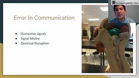 Grand Round:Temporal Lobe Epilepsy