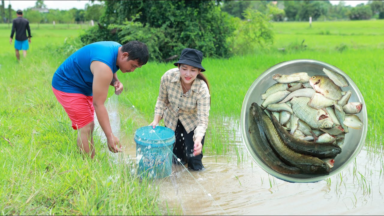 Yuotube Rice Field Today's video is about rustic soup from rice field, I and my brother ...