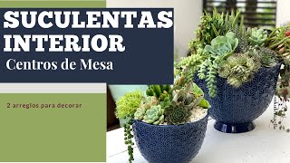 ‍ Centros de Mesa para tu casa  plantas de interior