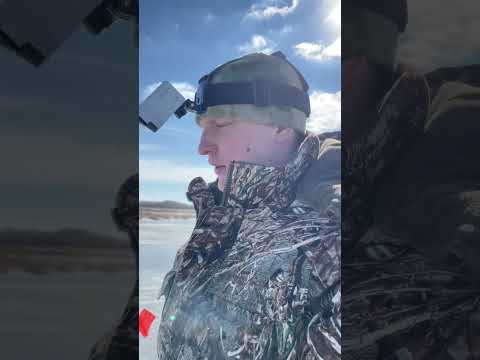 Отпускайте рыбу в реку #fishing #рыбалка #tiktok #pike #shorts #жерлица