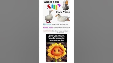 Comment your silly little duck names 😊
