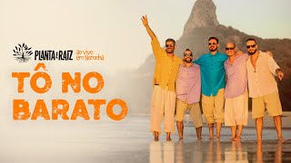 Tô No Barato - Planta e Raiz Ao Vivo em Noronha