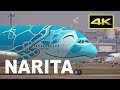 [4K] 42 Big Jets Plane Spotting at Tokyo Narita Airport / 成田空港 JAL ANA