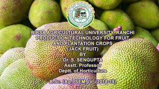 Production Technology Of Fruits & Plantation Crops Jack Fruit Dr. S. Sengupta
