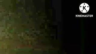 Spongebob in the backrooms VHS version