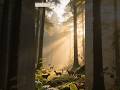 5 Amazing Innovations Inspired by Nature-#Biomimicry #NatureInspired #Innovation #engineering