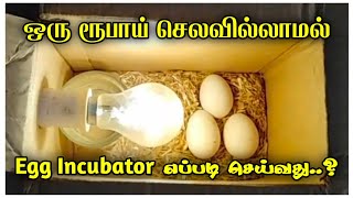 Egg🥚Incubator✨எப்படி செய்வது..? கோழி இல்லாமல் கொழி முட்டையை அடை✨ வைக்கும் முறை💫!! screenshot 4