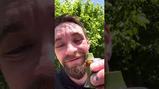 TERPY TIME TASTE BUDS - NEW DROP !!!! - RAW GARDEN - GREEN CRACK SAUCE - AIO #new #2025 #bayarea