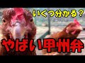 【山梨の方言】意味が分かったら、天才です。