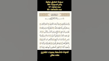 سورة الطارق، تلاوة خاشعة بصوت القارئ علاء عقل