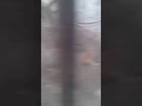 هاي من قرب امهن