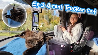 Charlie's Life - Ep.3 A real Trucker cat + daily life and playing around