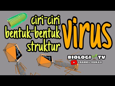 Struktur tubuh Virus , bentuk bentuk Virus , ciri ciri Virus . Biologi SMA meteri Virus
