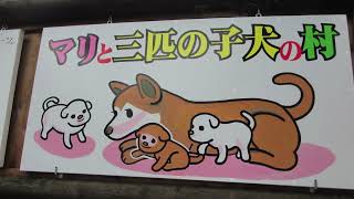 「マリと三匹の子犬の村」の看板・犬小屋 「マリと三匹の子犬の村」の看板・犬小屋