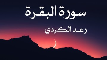 سورة البقرة رعد الكردي بدون اعلانات
