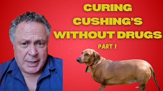 Curing Cushing's Disease Without Drugs (Part 1)