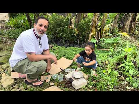 اندونيسيا 2025 Indonesia إندونيسيا