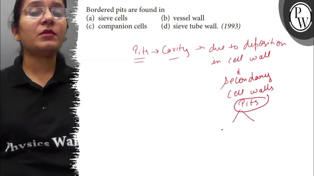 Bordered pits are found in (a) sieve cells (b) vessel wall (c
