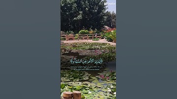 القرآن الكريم.تلاوة هادئة #استغفرالله #تصويري #لايك #راحة_نفسية #تيك_توك #اكسبلور #ترند #حالات_واتس