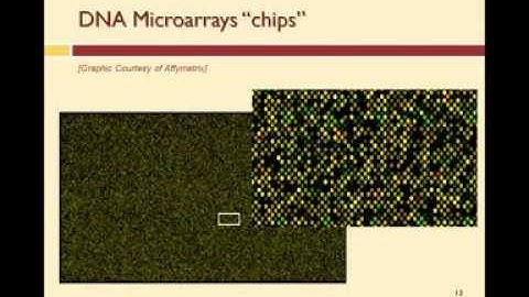How Does a DNA Microarray Work?