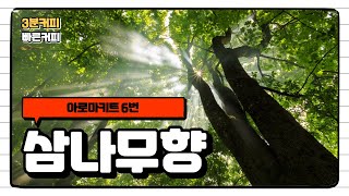 [커피기초강좌] 아로마 키트 6번 삼나무향