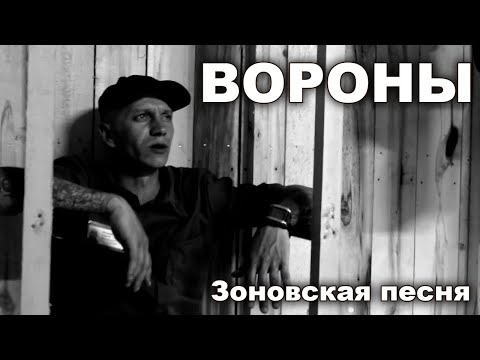 Зоновский Клип Вороны