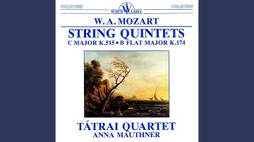String Quintet No. 1 in B Flat Major K. 174: IV. Allegro