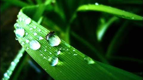 سورة الزمر بصوت ابراهيم الجبرين .. Surat Azzumar