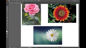 Lesson 5   Tutorial: How to use Hand Tool in Adobe Illustrator?