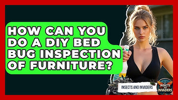 How Can You Do A DIY Bed Bug Inspection Of Furniture? - Insects and Invaders