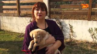 Ne Shtepine Tone, 11 Shkurt 2016, Pjesa 3 - Top Channel Albania - Entertainment Show